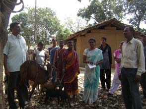 goatery-0122042014_0.jpg 