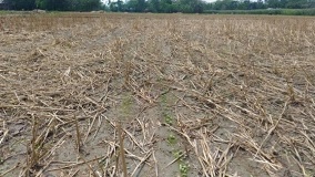 happyseeder-02-13112020