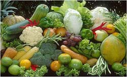 horticulture