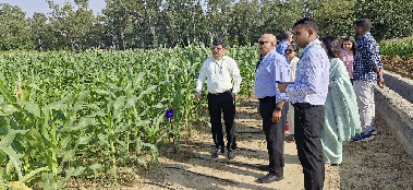 ICAR-IARI–SMSF Collaborative Project Launched