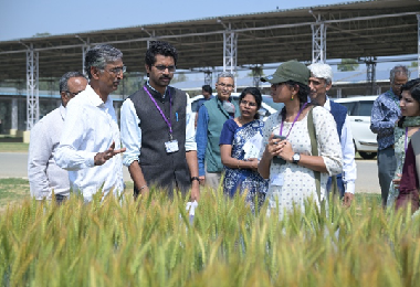 Two batches of IAS Officer Trainees Visit ICAR-IARI, New Delhi 12 March 2026, New Delhi Two batches of IAS Officer Trainees from the Lal Bahadur Shastri National Academy of Administration (LBSNAA), Mussoorie, visited the ICAR-Indian Agricultural Research Institute, New Delhi as part of their Winter Study Tour, which aims to provide exposure to key institutions working in the agriculture and rural development sectors. The first batch visited the institute on 9 March 2026, while the second batch visited on 12 March 2026. The visit began with a welcome address by Dr. R. N. Padaria, Joint Director (Extension), ICAR-IARI, who introduced the trainees to the institute, often referred to as the “Seat of the Green Revolution” and a leading centre for sustainable food security research. He highlighted the institute’s historic legacy and emphasised that ICAR-IARI has consistently played a crucial role in ensuring India’s food security while supporting the farming community through continuous research, innovation, and extension activities. Dr. Ch. Srinivasa Rao, Director, ICAR-IARI, delivered a detailed presentation on the institute’s achievements and ongoing strategic initiatives aimed at building a sustainable agri-food system. He explained how the institute’s various divisions and departments work collaboratively to develop technologies that benefit farmers, support agricultural policies, and contribute to poverty alleviation. The Dr Rao further elaborated on the institute’s research outcomes that are directly benefiting the farming community through continuous research and improved crop varieties, advanced farming technologies, and effective extension services. He also highlighted major outreach initiatives such as the Pusa Krishi Vigyan Mela, which attracts more than one lakh visitors each year, including farmers, students, and stakeholders from across the country. As part of the exposure visit, the IAS trainees toured several important facilities and field units of the institute. These included the Integrated Farming System (IFS) Model, Centre for Protected Cultivation Technology, Mustard and Wheat experimental plots, Robotics Laboratory, Climate Change Facility, Pusa Amrit Sarovar, and the Nanaji Deshmukh Plant Phenomics Centre, where they observed advanced research infrastructure and field demonstrations of agricultural technologies. The visit provided the trainees with first-hand exposure to innovative agricultural research and sustainable farming practices. The programme was also attended by several dignitaries, including Dr. C. Viswanathan, Joint Director (Research); Dr. Anupama Singh, Dean & Joint Director (Education); Dr. P. S. Brahmanand, Project Director, Water Technology Centre (WTC); and Shri Suresh Kumar, Senior Registrar & Joint Director (Administration), along with scientists. The programme concluded with an interactive question-and-answer session, during which the trainees engaged with scientists and discussed various aspects of agricultural development, research dissemination, and farmer outreach. The visit offered valuable insights into the role of national agricultural research institutions in strengthening India’s agricultural sector and improving the livelihoods of farmers. (Source: ICAR-Indian Agricultural Research Institute, New Delhi)