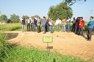 igfri-02-13122022