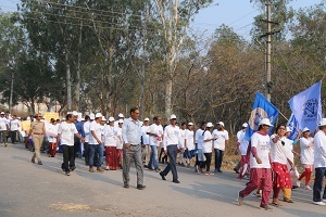 iimr-02-07032023.jpg 