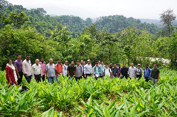 Pan-India Action Research Project on Spice Value Chains: Training on Sustainable Ginger and Turmeric Cultivation