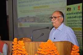 iisr-218112019