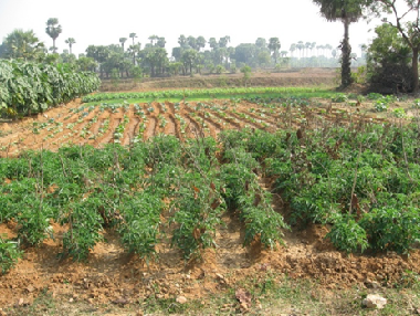 Water resources development for livelihood improvement of smallholder farmers