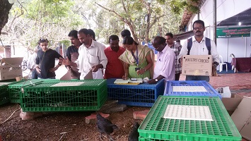 kadkanath-02-2019.jpg