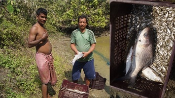 livelihood-Mizoram-04_0.jpg 