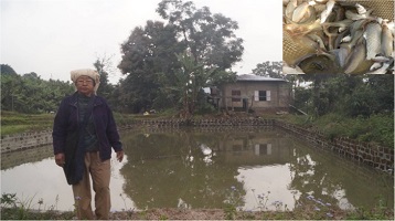 livelihood-Mizoram-07_0.jpg 