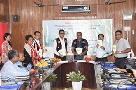 maize-01-28052019