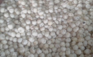 makhana-04-08052019_0.jpg 