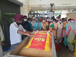 millets-pulses-01
