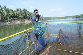 ICAR-CMFRI’s efforts to Popularize Cage Fish Farming win Recognition