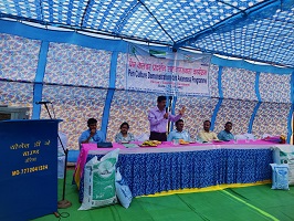 news1_87