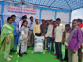 news2_72