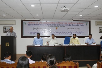 nofri-01-13092019.jpg