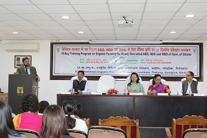 nofri-01-26042019.jpg