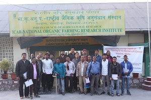 nofri-02-12122019