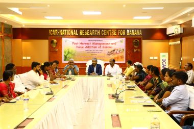 Development of Banana based Entrepreneurship for Andamam Nicobar Costal Agro Eco System
