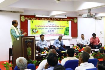 NRCB and TNAPEx Drive Value Chain Strengthening to Tap Global Banana Market