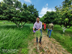 ICAR–NRC on Litchi, Muzaffarpur Observes Parthenium Awareness Programme