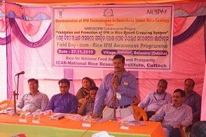 nrri-01-29112019