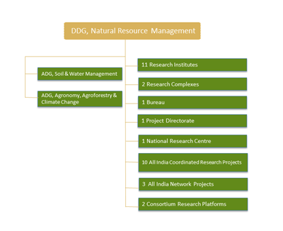 organogram-NRM-s.png