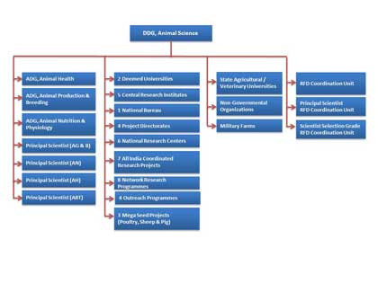 organogram-new-09-04-2012-s