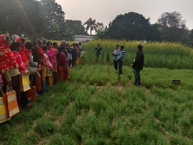 ICAR-RCER, Patna Hosts Farmers’ Fair Highlighting Research-Driven Self-Reliance in Agriculture