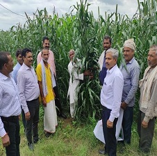 Laser levelling along with ridge furrow in standing pearl millet for getting higher yield and income