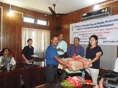 pigpoultry-24112016.jpg