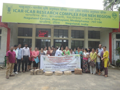 poultry-01-27062016