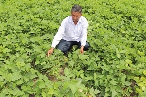rajma-bhimmal-01.jpg