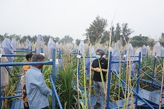 sbi-02-22122020.jpg