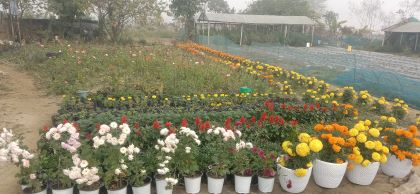 From ‘Potharkonya’ to Pathbreaker: Ms. Nabanita Das Emerges as a Model Woman Agripreneur in Assam