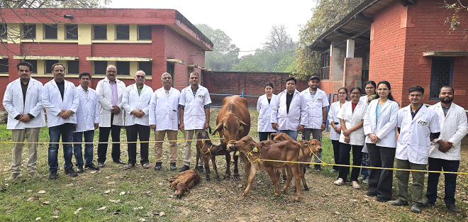 A Leap Forward in Indigenous Breeding: ICAR–IVRI’s Breakthrough in Producing Sahiwal Calves through Advanced Reproductive Technologies