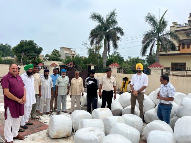 Maize Silage Revolution: IIMR’s Breakthrough Initiative Transforms Livestock Feeding in North-West India