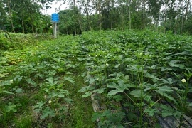 ss-cssri-04