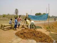 ss-naip-10-07-2012-1_0.jpg 