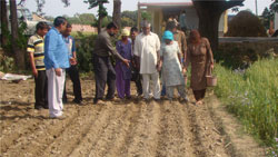 sucess-story-sugarcane-dehradun-2_0.jpg