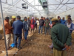 training-program-on-quality-planting-material-04