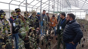 training-programme-for-nursery-growers-supporting-staff-02