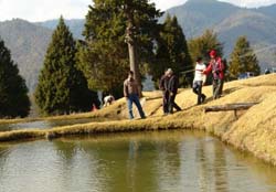 trout-farming-arunachal-pradesh-08-07-2015-2_1.jpg