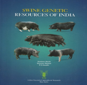 Swine Genetic Resources of India